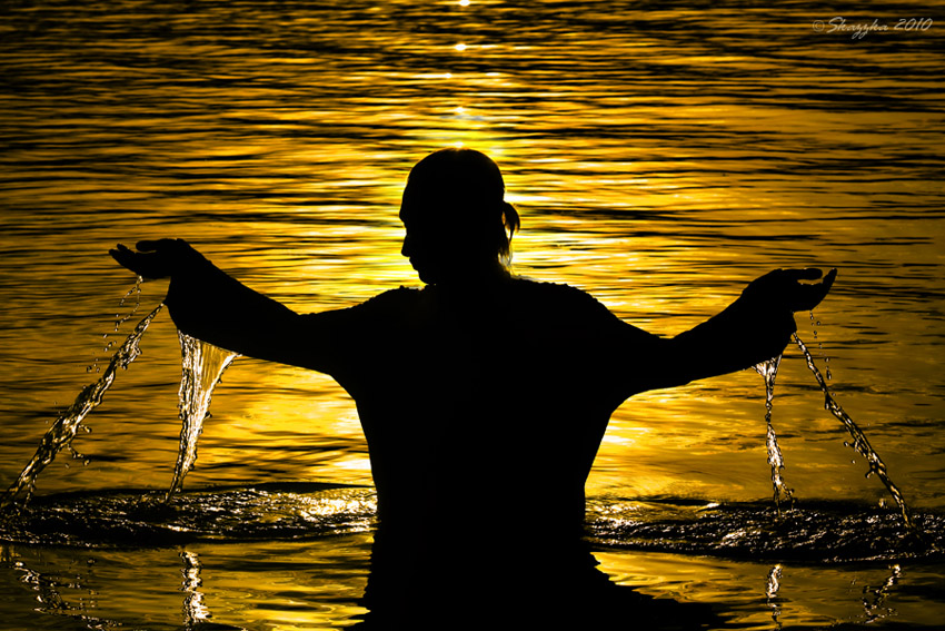 Фотографія золото земли / Лена Skazzka / photographers.ua