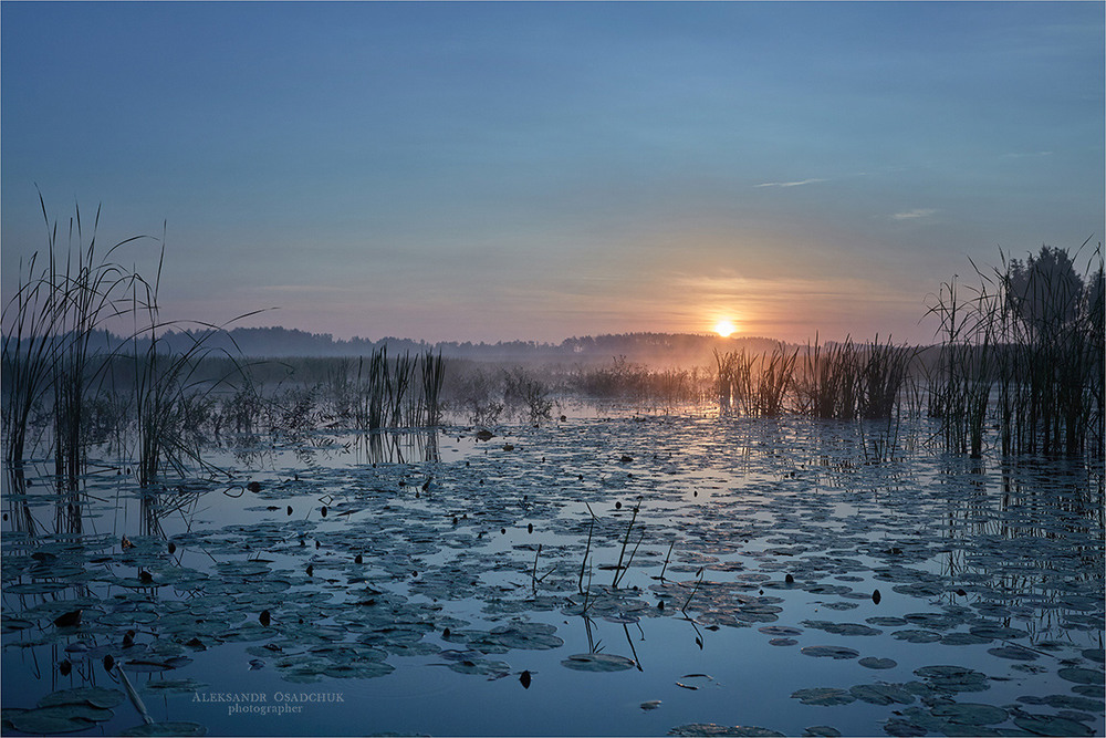 Фотографія Пейзаж / Олександр Осадчук / photographers.ua