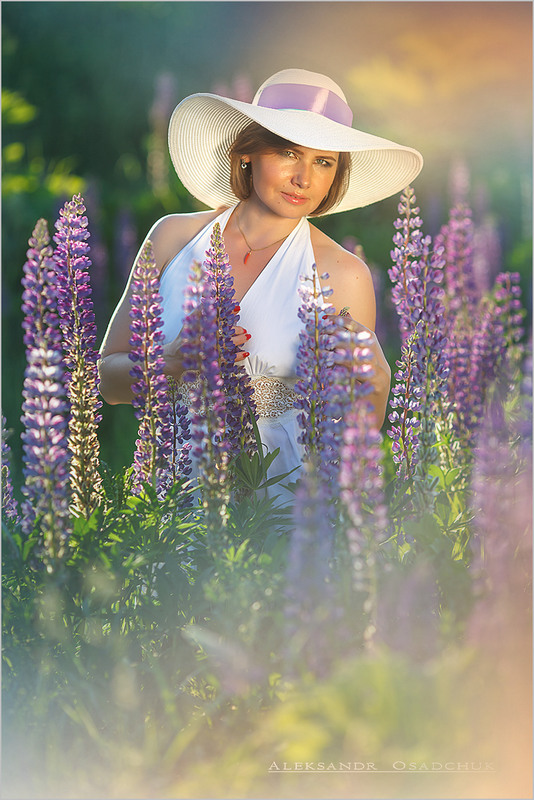 Фотографія зацвел люпин / Олександр Осадчук / photographers.ua