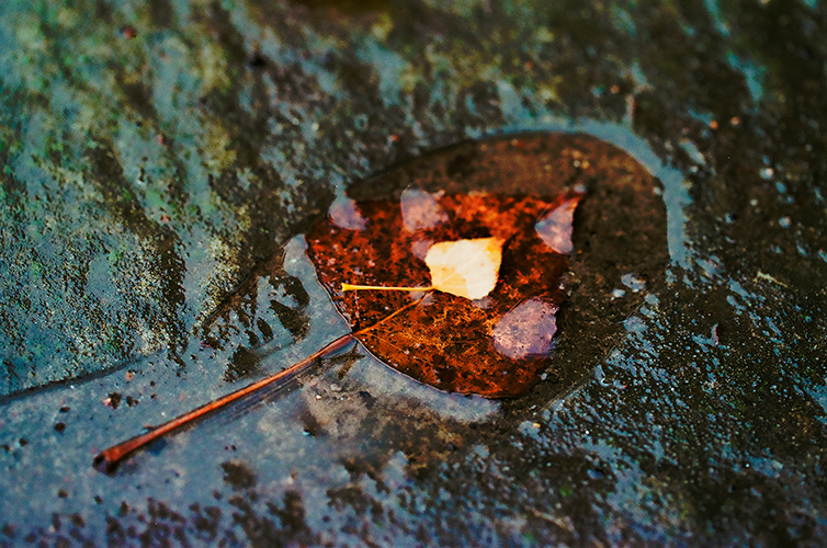 Фотографія Размер 36-37 / Аркадий / photographers.ua