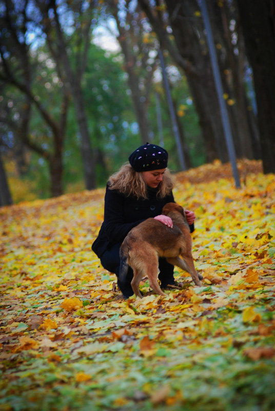 Фотографія моя осінь / Александр Макарчук / photographers.ua