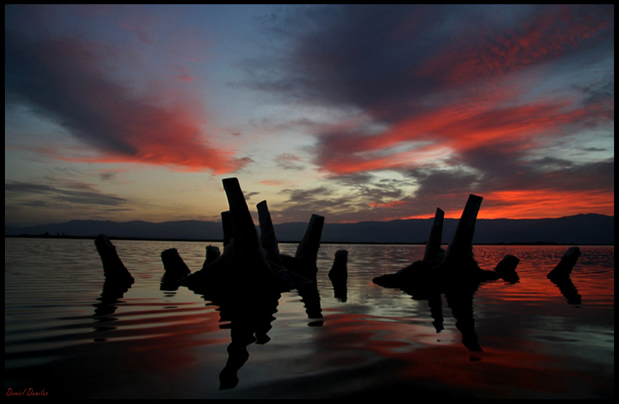 Фотографія Dead sea Icebergs / Daniel Danilov / photographers.ua