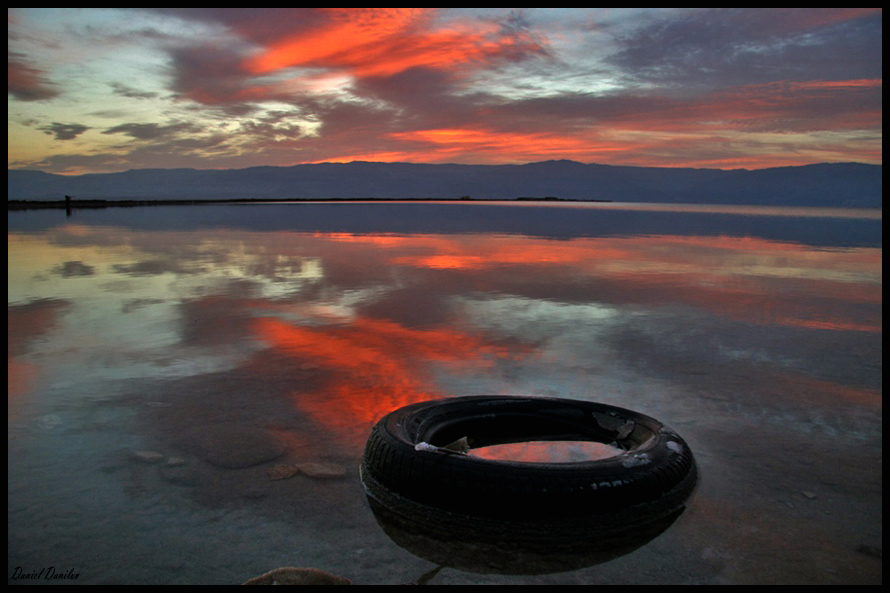 Фотографія Like a rescue wheel in the Dead sea / Daniel Danilov / photographers.ua