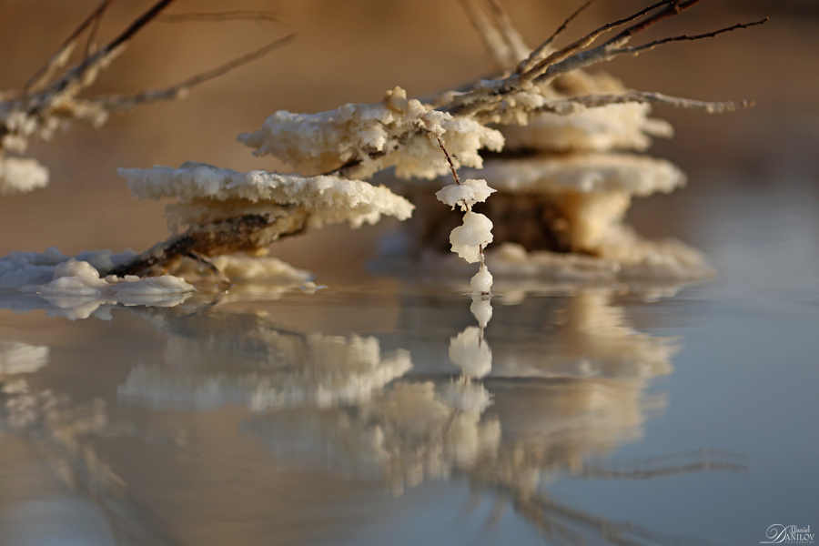 Фотографія Dead sea salt reflection / Daniel Danilov / photographers.ua