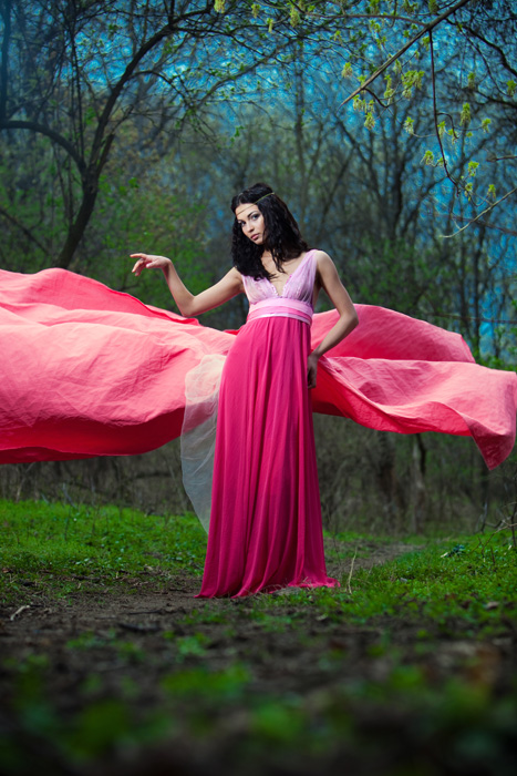 Фотографія розовым тюльпаном. / Elena Goroshenko / photographers.ua