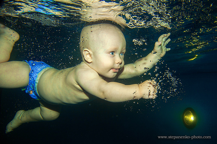 Фотографія Подводный мир / Константин Степаненко / photographers.ua
