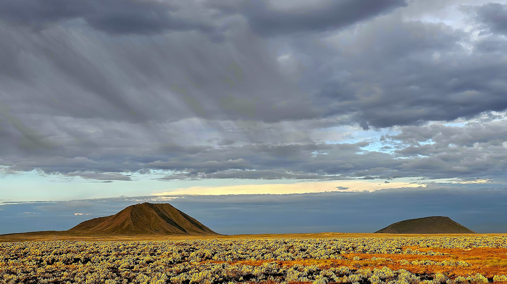 Фотографія Умытая дождем / Анатолий Токарь / photographers.ua