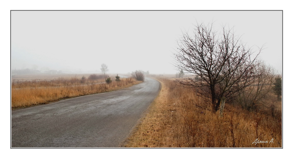 Фотографія дорога в туман / Андрей Демин / photographers.ua