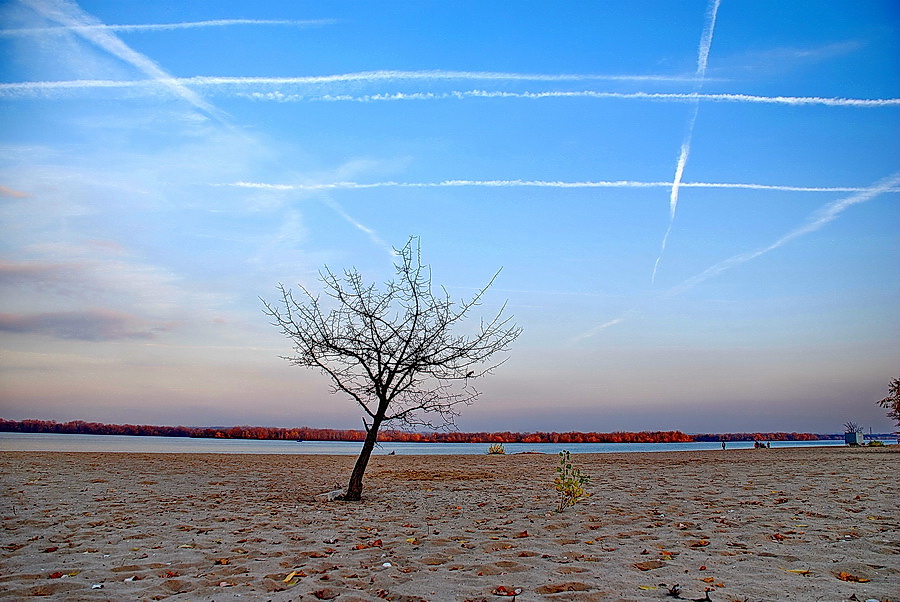 Фотографія Осенний пляж... / Андрей Демин / photographers.ua