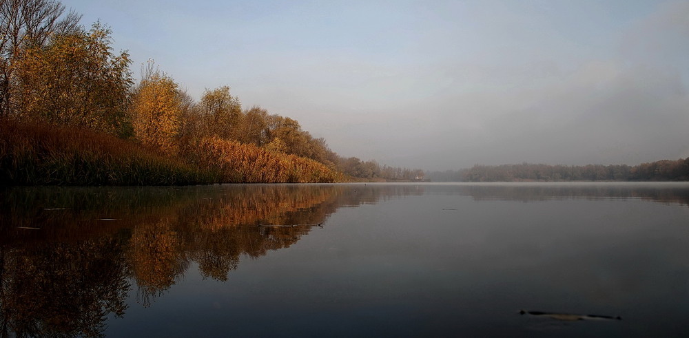 Фотографія Осень золотая / Андрей Демин / photographers.ua