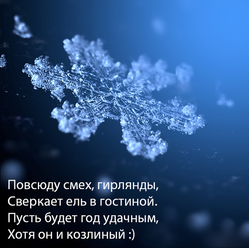 Фотографія Новый 2015 Год / Yu-Ra-Yu (Александр Юрочкин) / photographers.ua