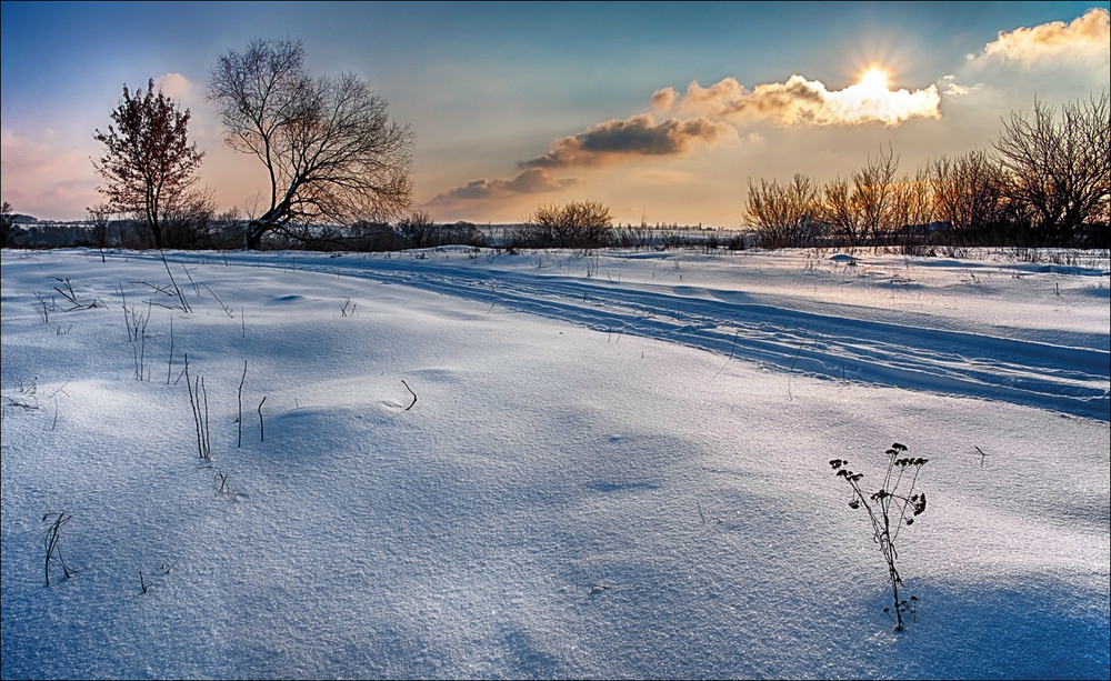 Фотографія Зимний луг / Yu-Ra-Yu (Александр Юрочкин) / photographers.ua