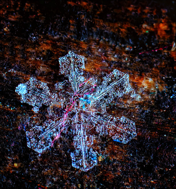 Фотографія Маленькая снежинка / Yu-Ra-Yu (Александр Юрочкин) / photographers.ua