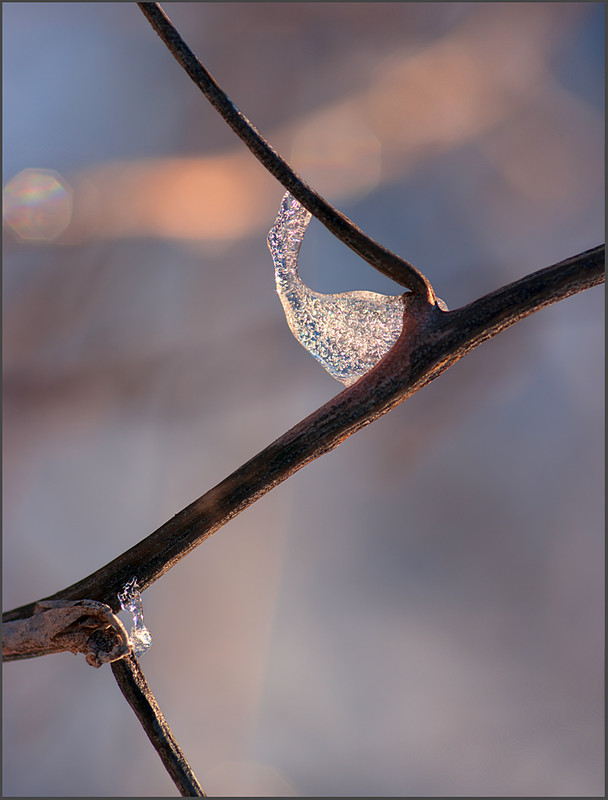 Фотографія Зимний минимализъм / Yu-Ra-Yu (Александр Юрочкин) / photographers.ua