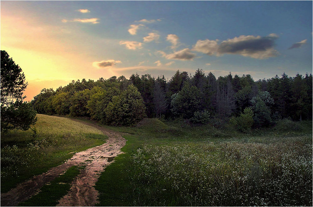 Фотографія Пейзаж / В. Левицький / photographers.ua