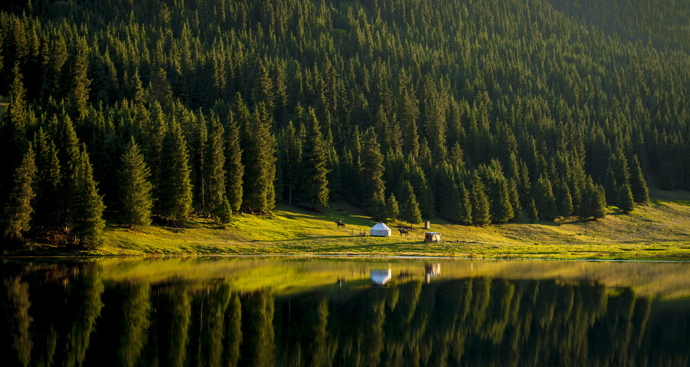 Фотографія # Черное озеро - 2 # / Григорий Беденко / photographers.ua