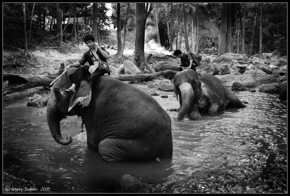 Фотографія # Сны о Тайланде # из серии... / Григорий Беденко / photographers.ua