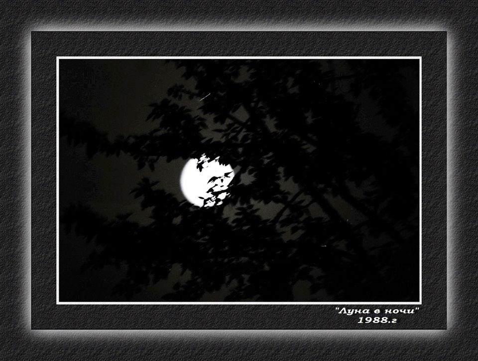 Фотографія "Луна в ночи" 1988 г. / Алексей Кормилец / photographers.ua