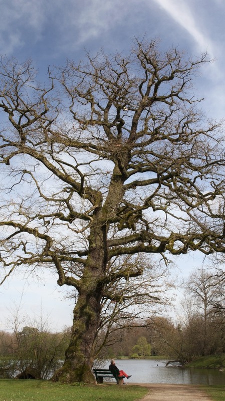 Фотографія Місце думок / Tymofii / photographers.ua