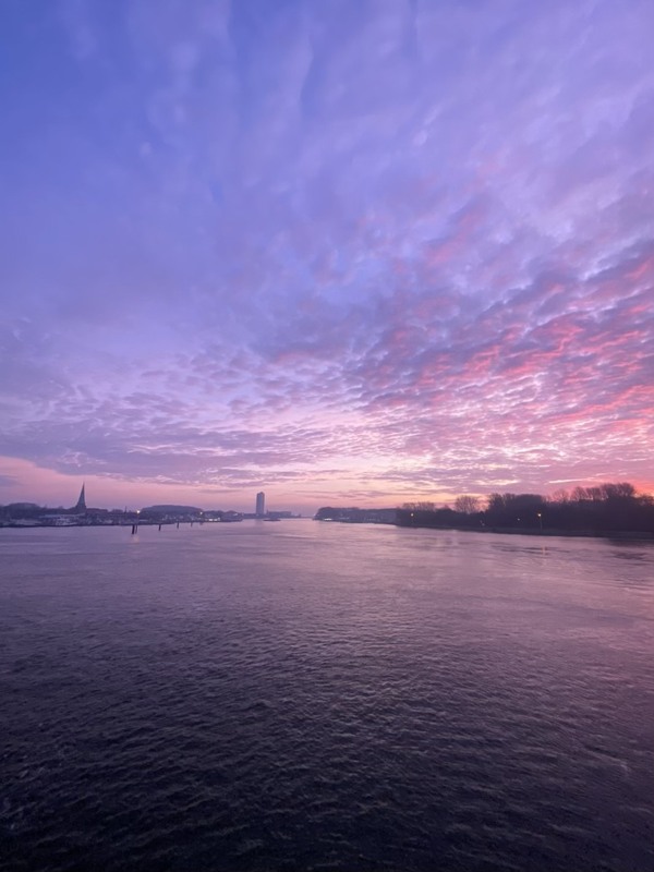 Фотографія Рожеве / Tymofii / photographers.ua