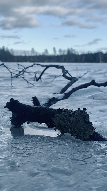 Фотографія У кризі / Tymofii / photographers.ua