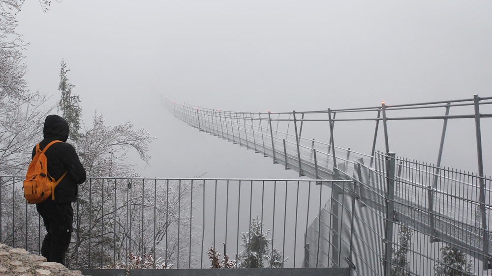 Фотографія Highline179 - самый длинный висячий мост в Европе. Австрия, Тироль / Tymofii / photographers.ua