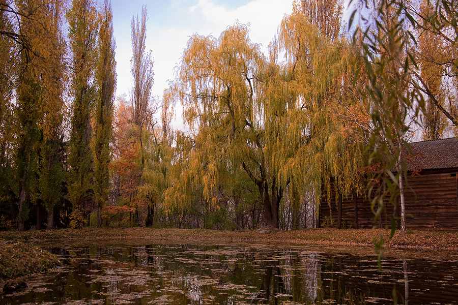 Фотографія зеркало осени / Skif / photographers.ua