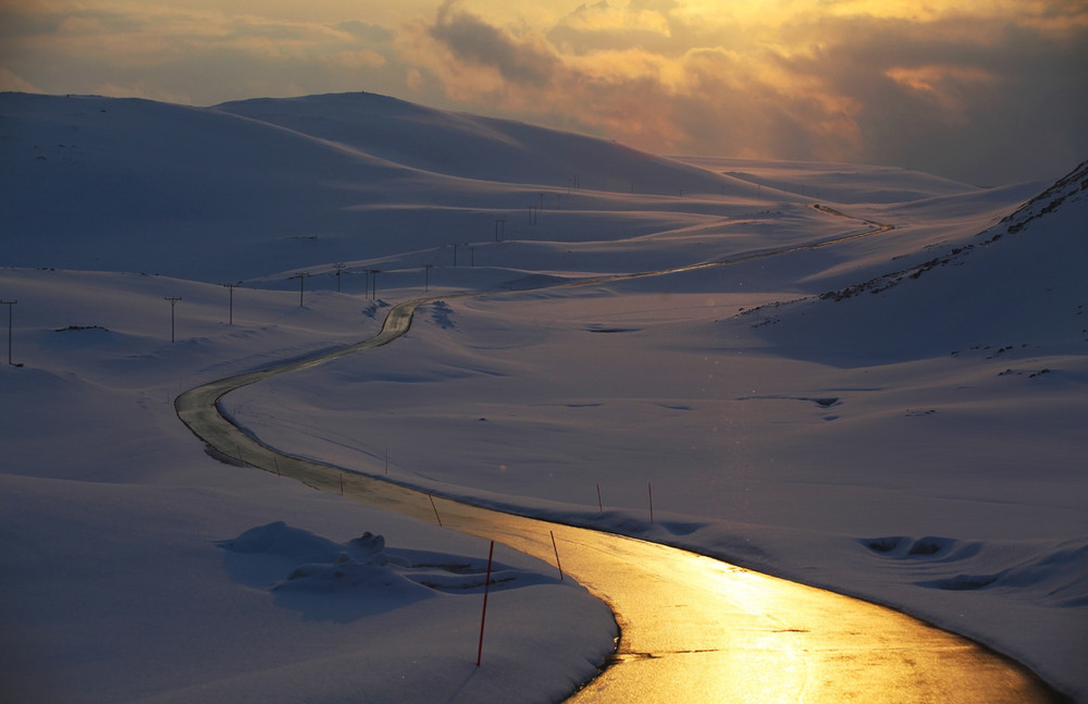 Фотографія Дорога на острове Магерейя / Vitaliy Vasylevskyy / photographers.ua