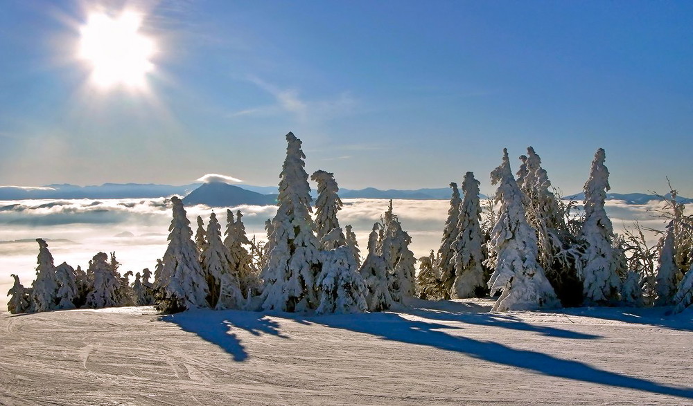 Фотографія пусть у всех в этом сезоне будет такая зима! / Vitaliy Vasylevskyy / photographers.ua