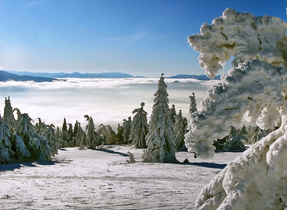 Фотографія раствориться в зиме... / Vitaliy Vasylevskyy / photographers.ua