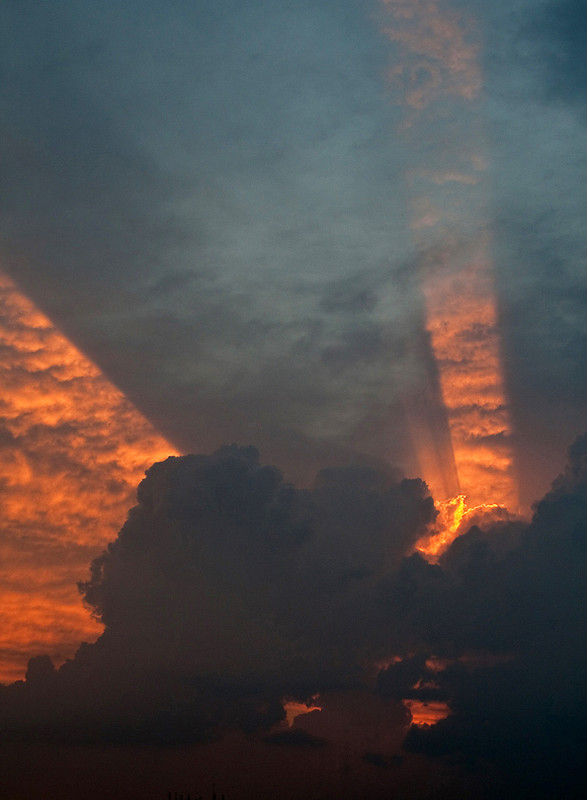 Фотографія * / Алексей Кузьмин / photographers.ua