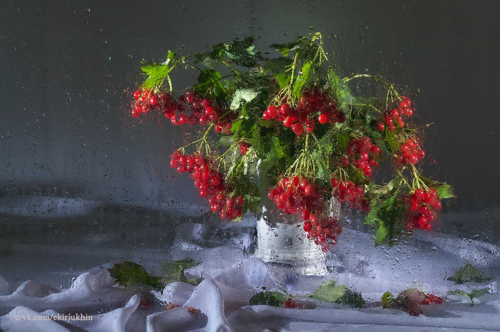 Фотографія Букет красной калины за стеклом / Евгений Кирюхин / photographers.ua