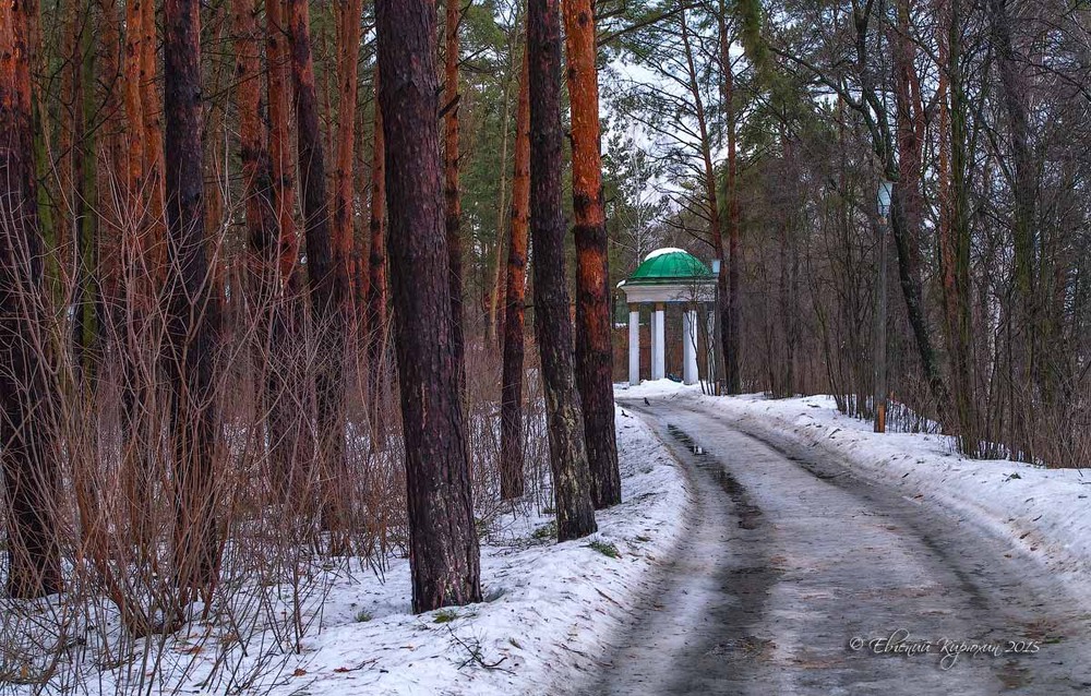 Фотографія Альтанка в лесу / Евгений Кирюхин / photographers.ua