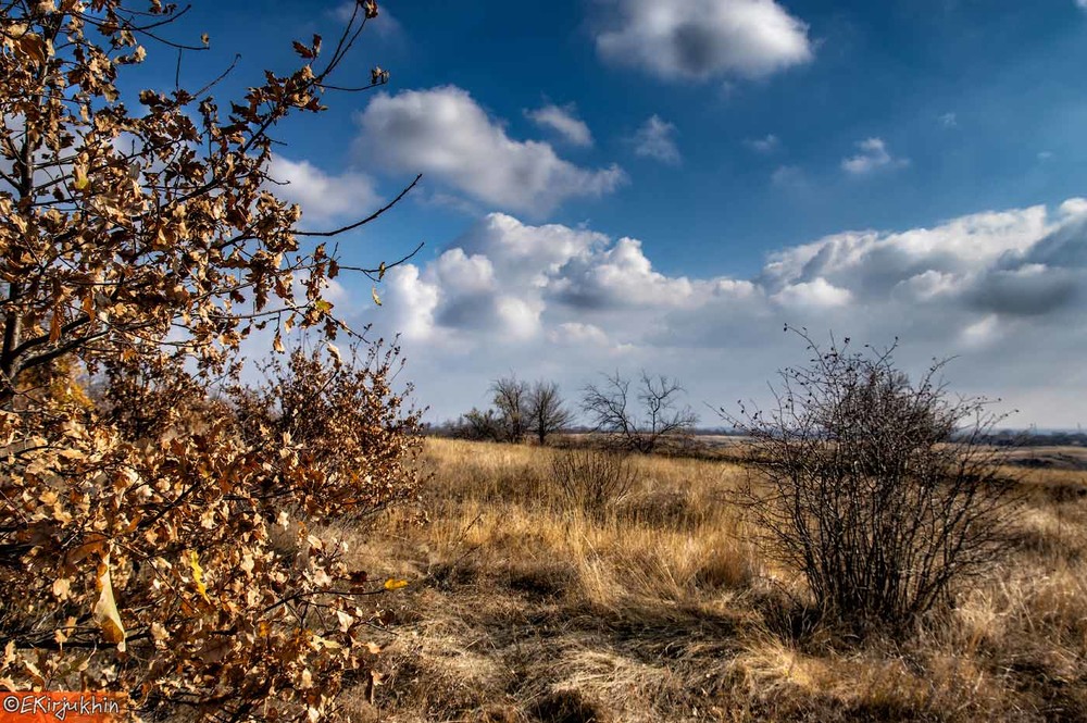 Фотографія Осенний пейзаж / Евгений Кирюхин / photographers.ua