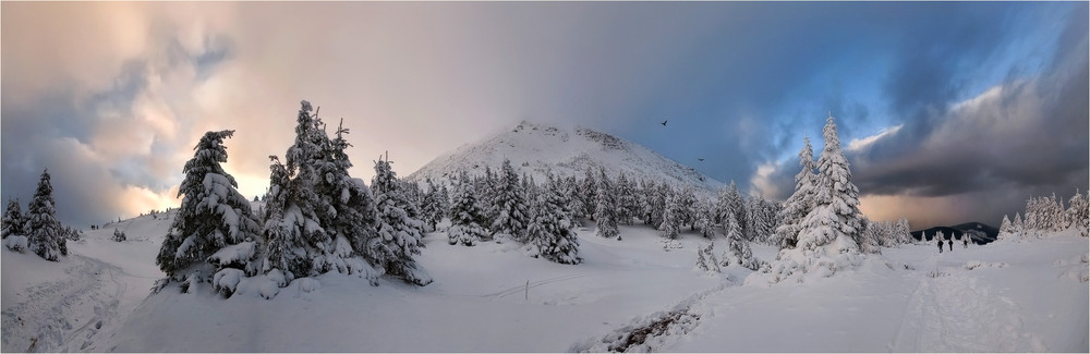 Фотографія Царство снежной горы / Виктория Тимошенко / photographers.ua