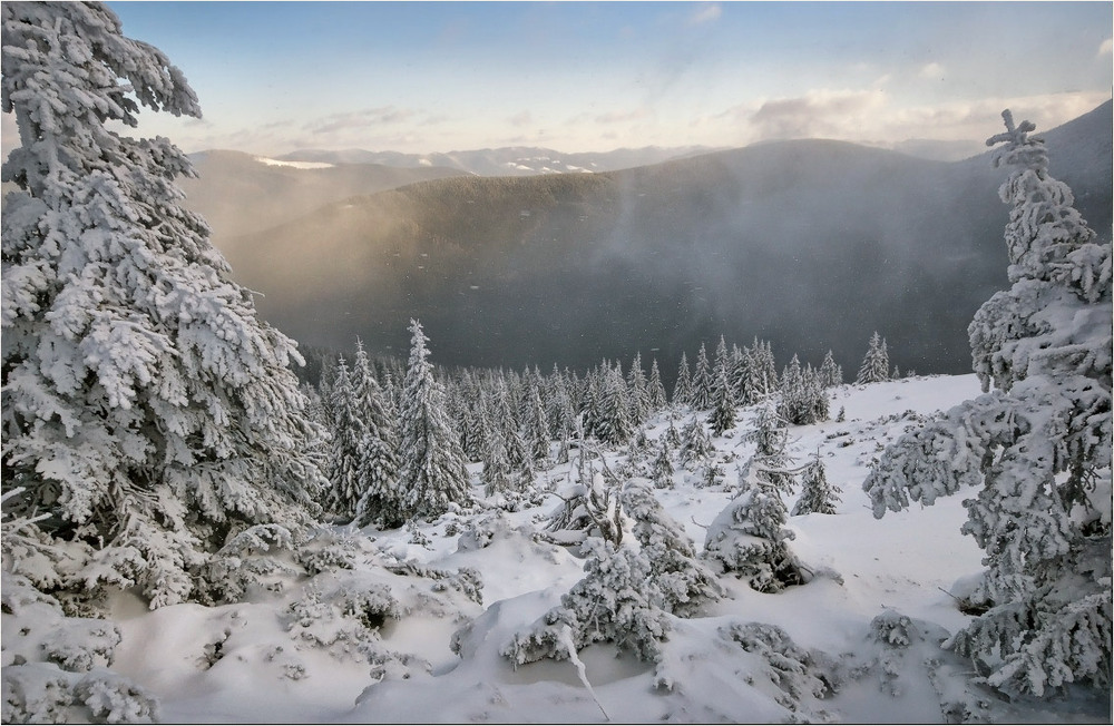 Фотографія Туман клубится, снежок кружится.. / Виктория Тимошенко / photographers.ua