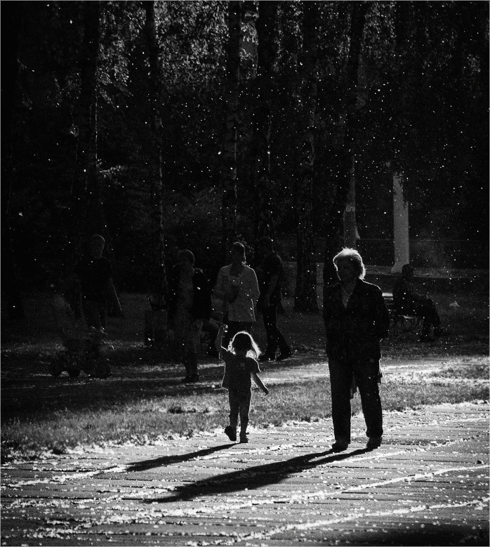 Фотографія Такого снегопада.. / Виктория Тимошенко / photographers.ua