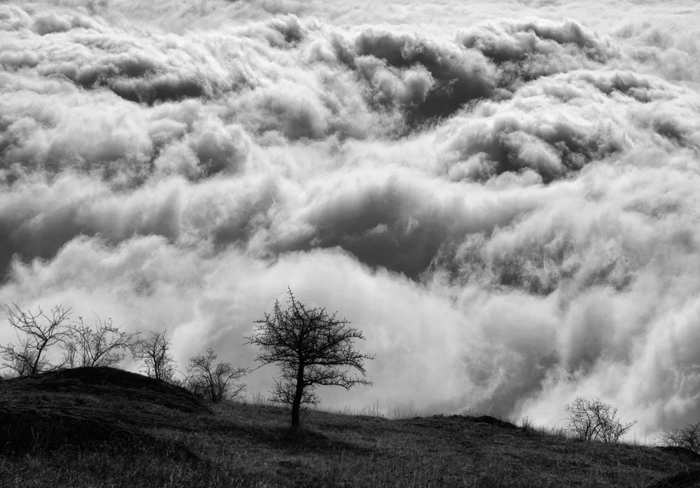 Фотографія Над океаном облаков / Виктория Тимошенко / photographers.ua