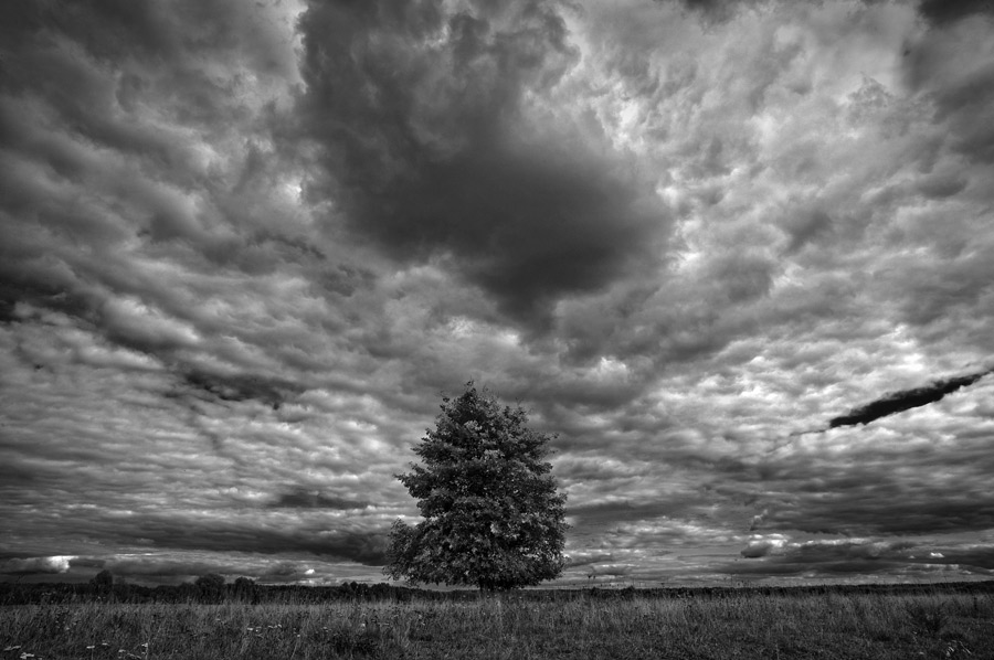 Фотографія Пейзаж / Вячеслав Иванов / photographers.ua