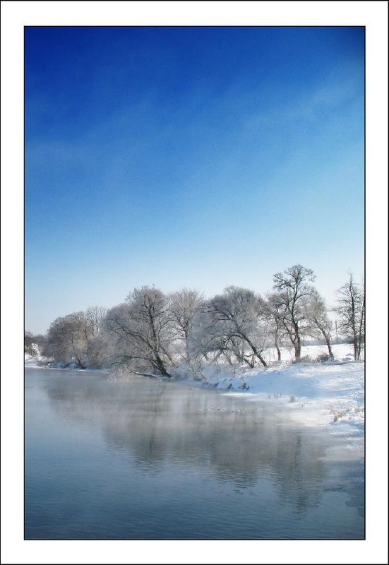 Фотографія Зимний сон / Yura Stepanyuk / photographers.ua