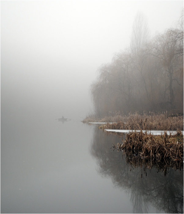 Фотографія В туман / Yura Stepanyuk / photographers.ua