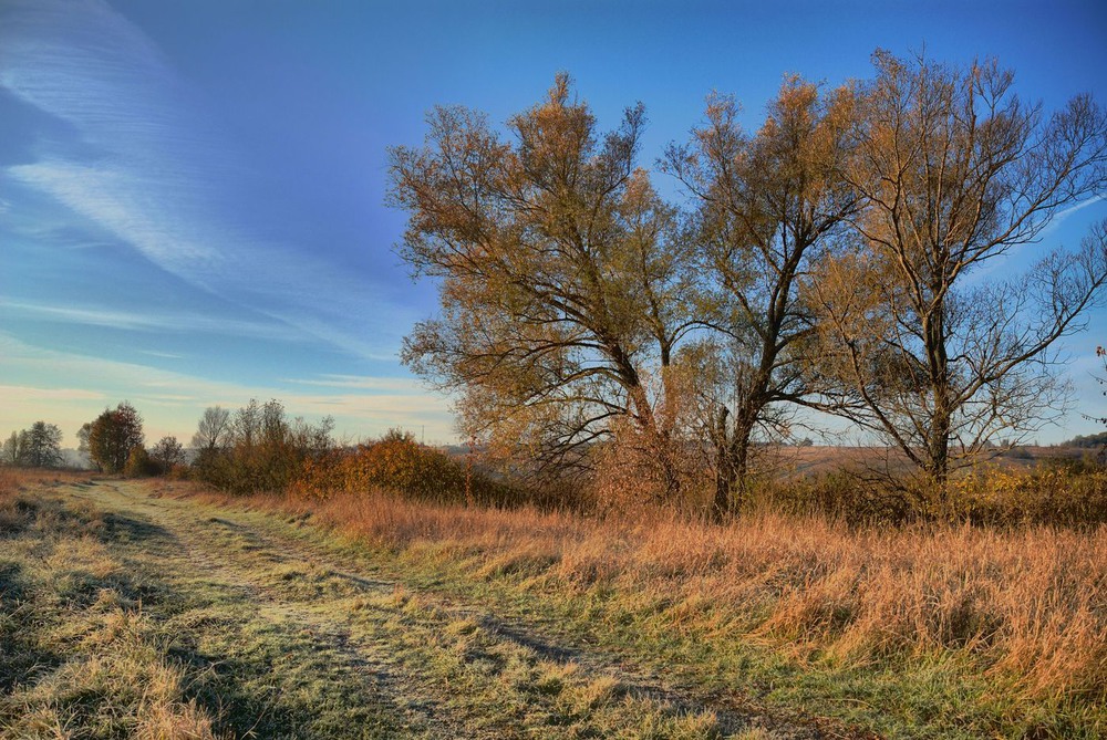 Фотографія утро / Александр Козленко / photographers.ua