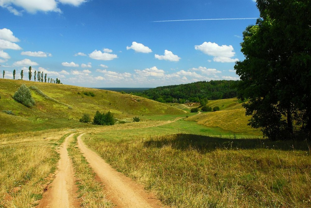 Фотографія дорожка в лето / Александр Козленко / photographers.ua