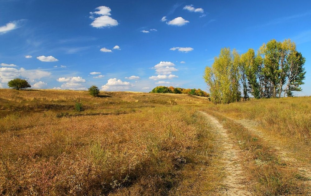 Фотографія дорога в осень / Александр Козленко / photographers.ua