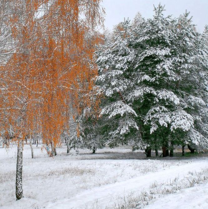 Фотографія Пейзаж / Александр Козленко / photographers.ua