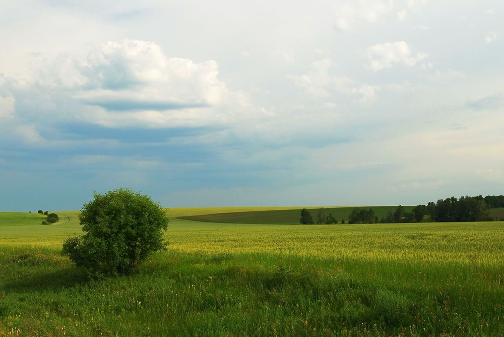 Фотографія Пейзаж / Александр Козленко / photographers.ua