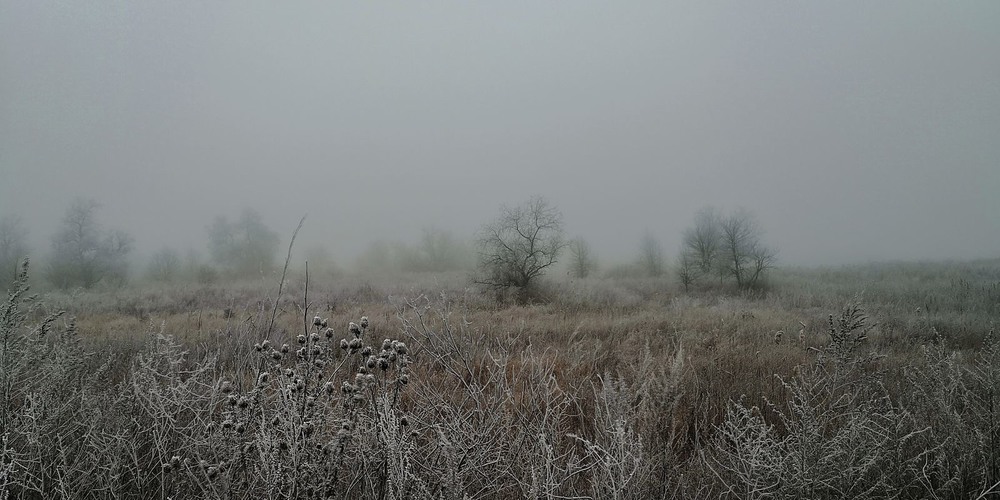Фотографія Зима, тонкие линии... / Александр Козленко / photographers.ua