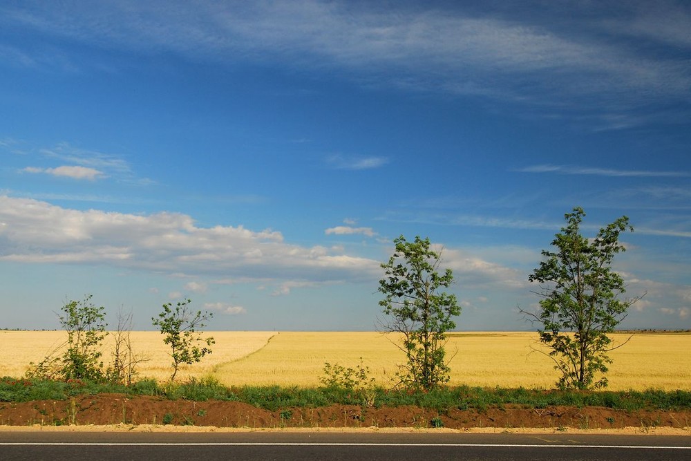 Фотографія на крымских просторах / Александр Козленко / photographers.ua