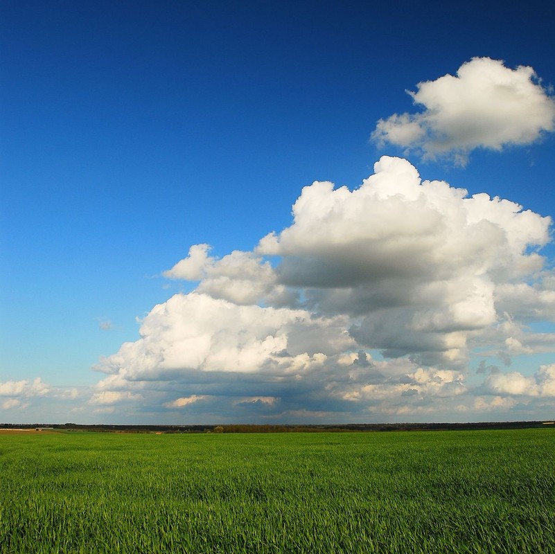 Фотографія под небом голубым / Александр Козленко / photographers.ua