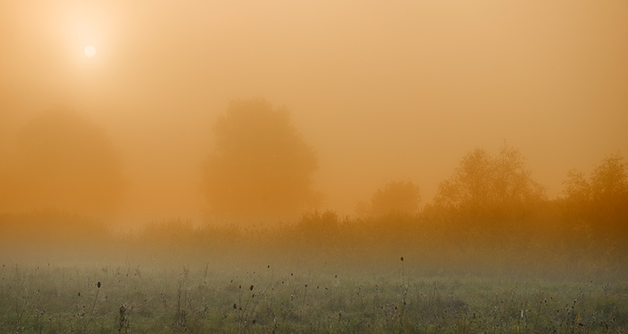 Фотографія Солнечный туман / Андрей Соловьев / photographers.ua